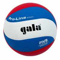 Волейбольный мяч Gala PRO-LINE BV5591S