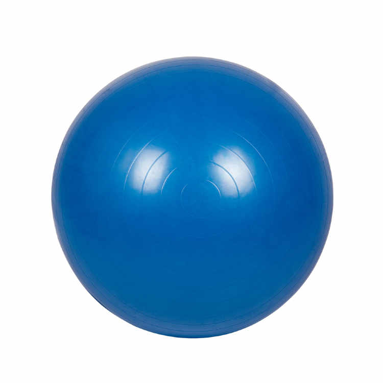 Мяч гимнастический для фитнеса c АБС L 0775b